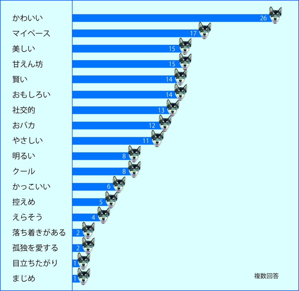 犬の性格グラフ
