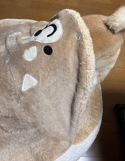 柴犬　