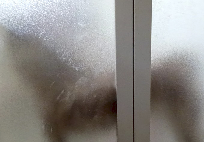 柴犬