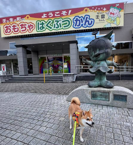 柴犬